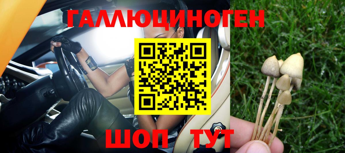 Галлюциногенные грибы Cubensis Новочебоксарск
