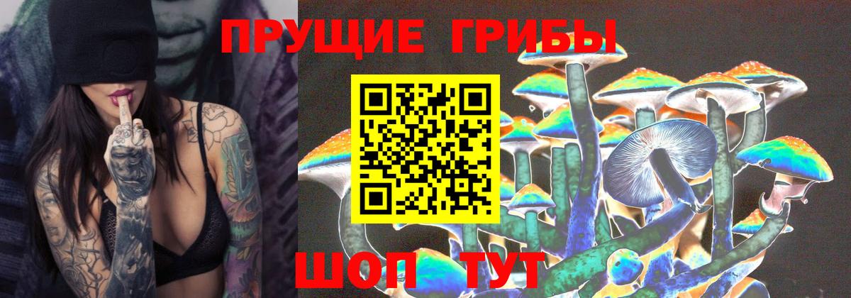 Псилоцибиновые грибы Cubensis  Вход с VPN  Новочебоксарск 